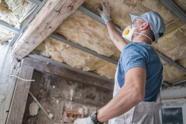 Best Insulation Maintenance and Repair in Gaffney, SC