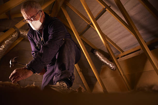 Best Insulation Installation Services in Gaffney, SC
